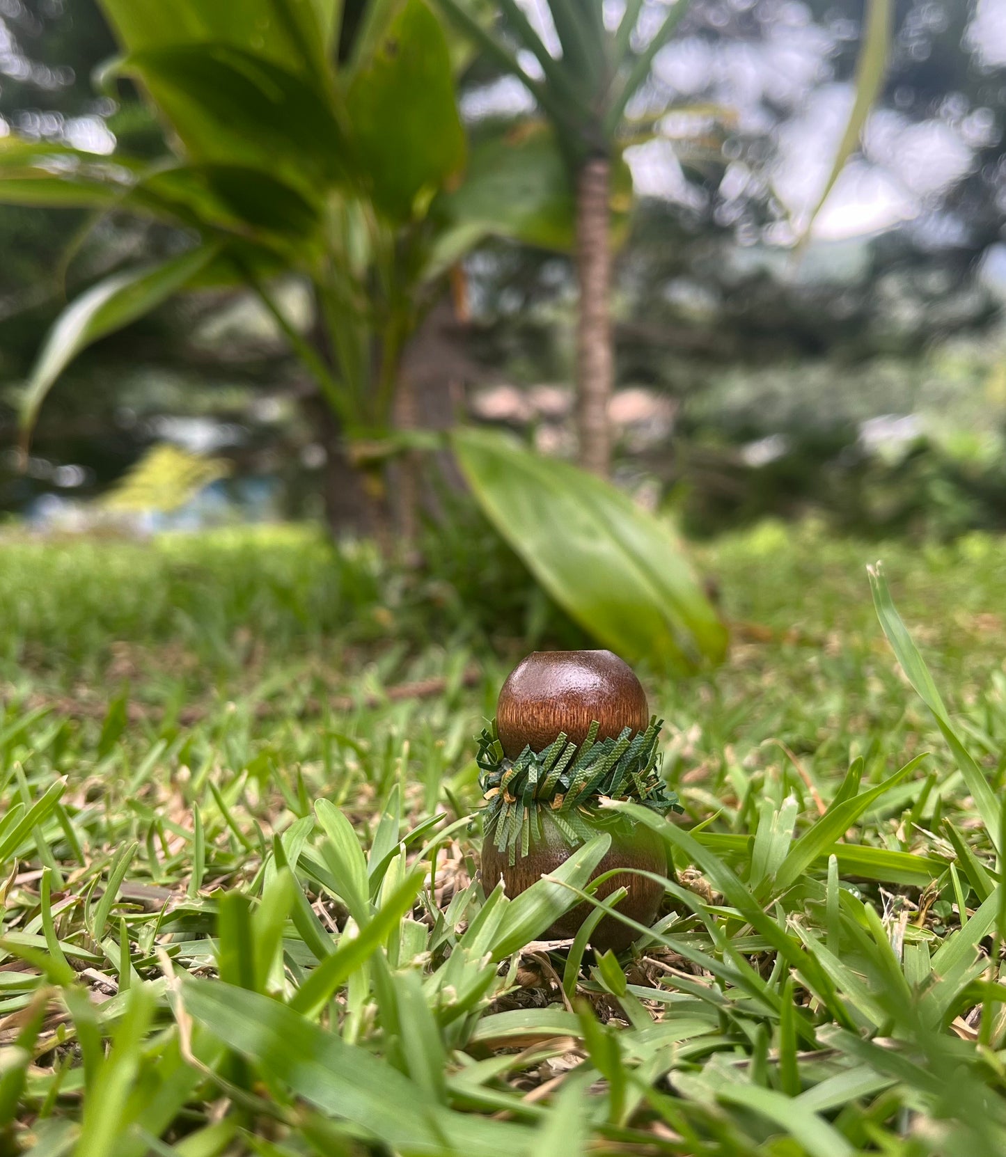 Ipu