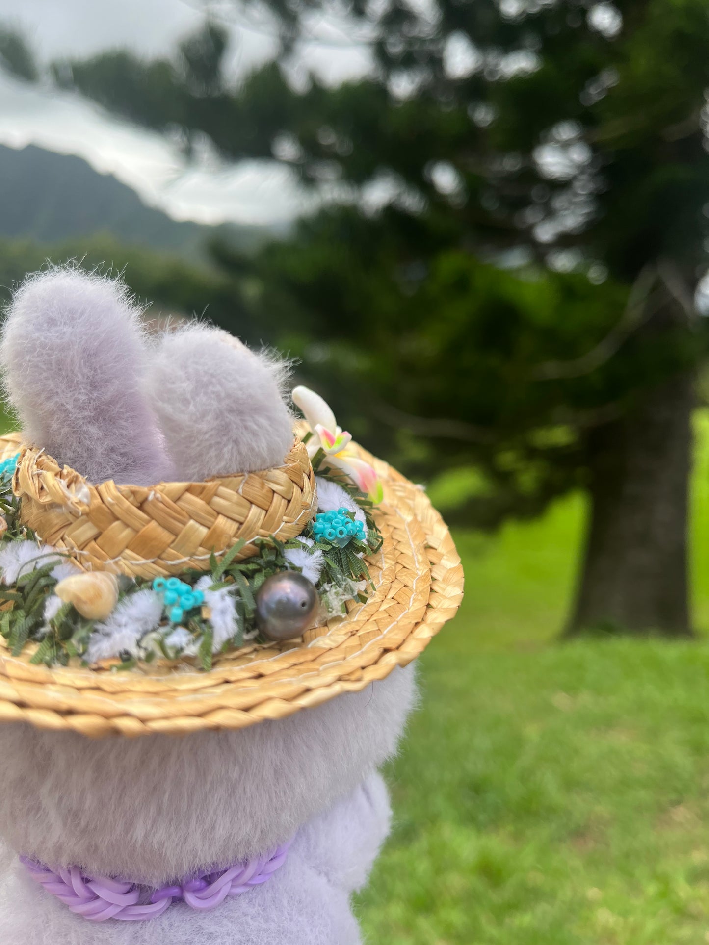 Pāpale Niu