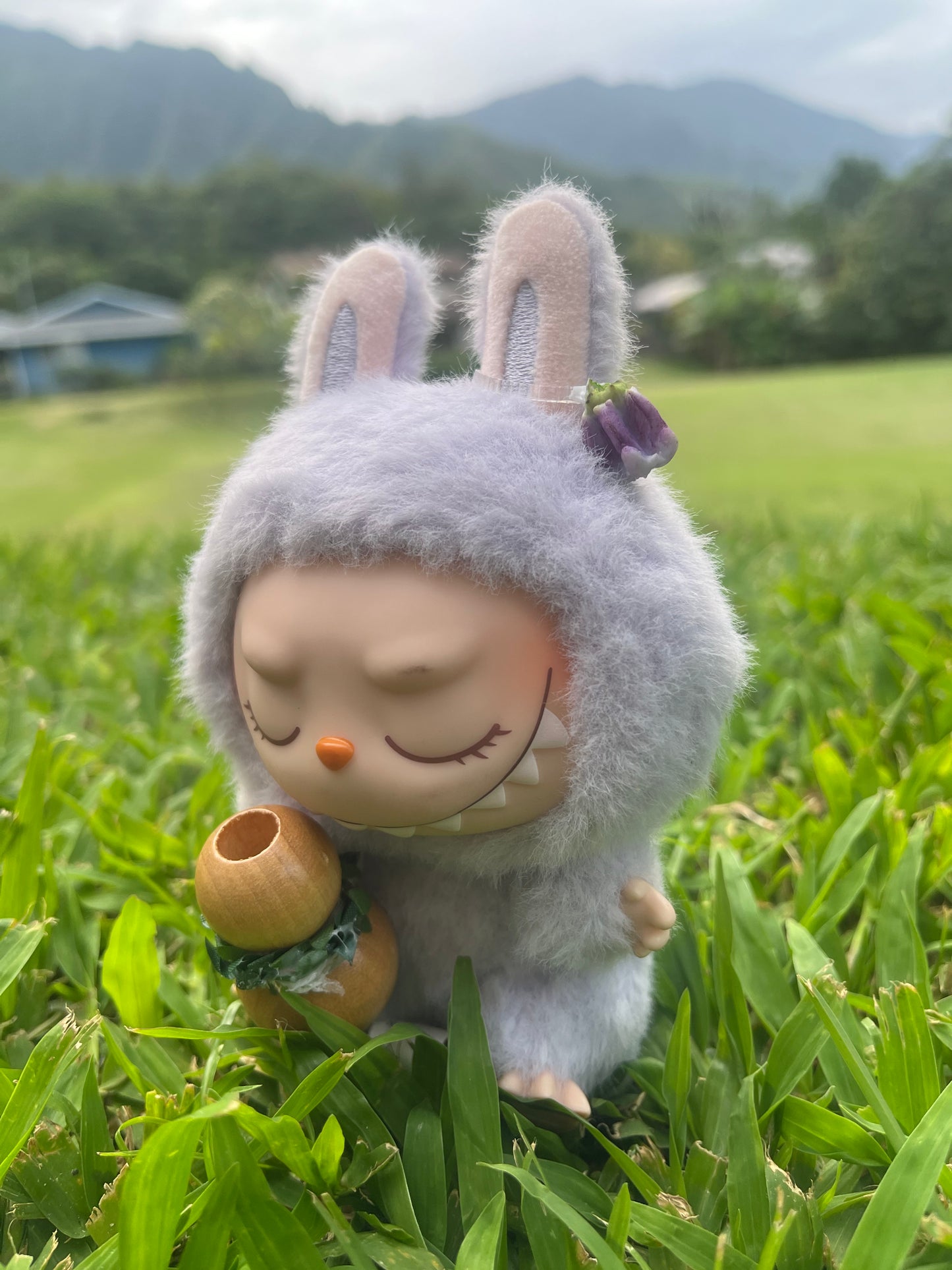 Flower in the Fur