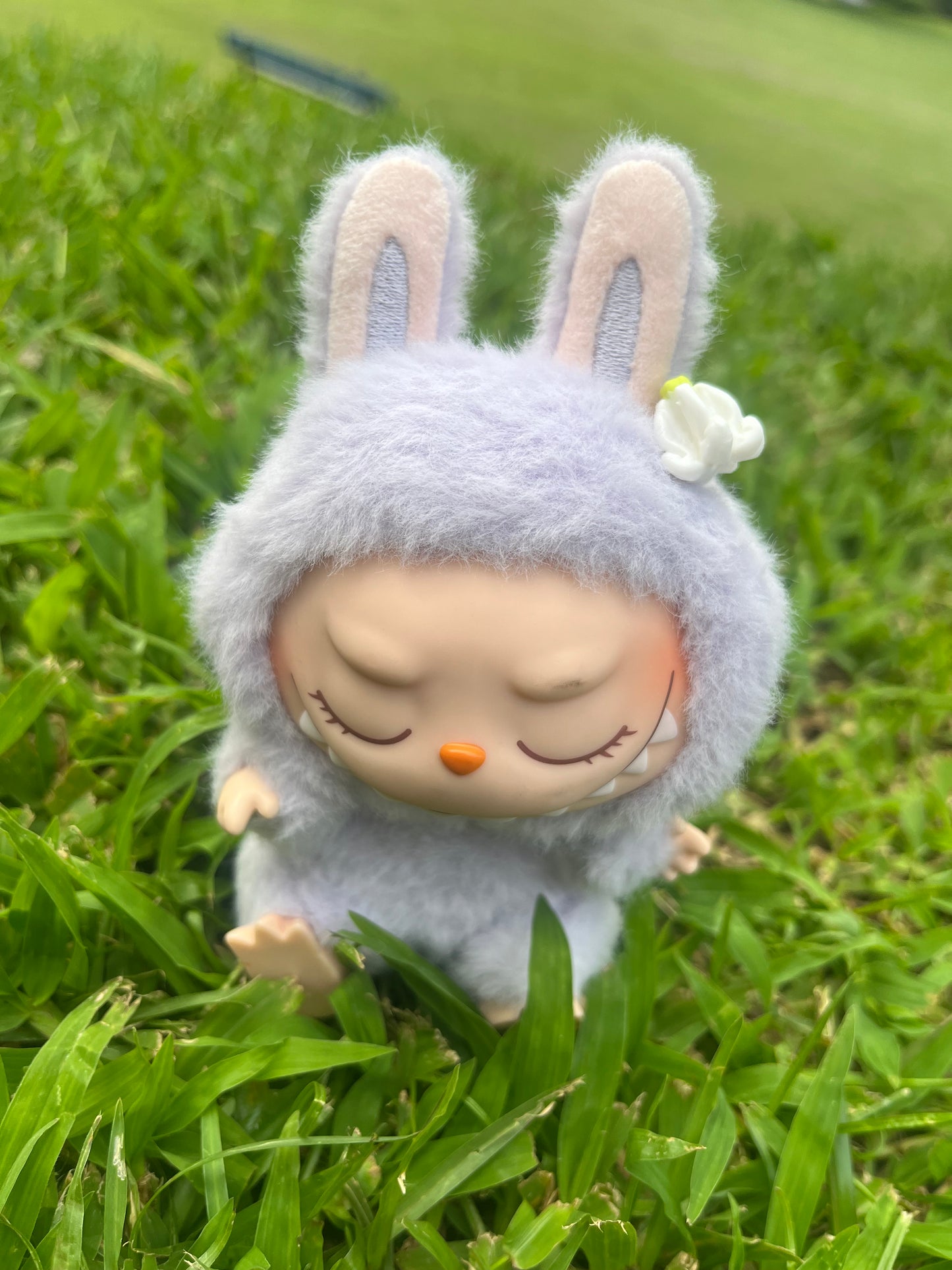 Flower in the Fur